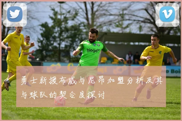 勇士新援布威与尼昂加盟分析及其与球队的契合度探讨