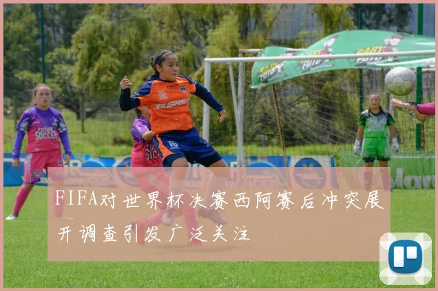 FIFA对世界杯决赛西阿赛后冲突展开调查引发广泛关注